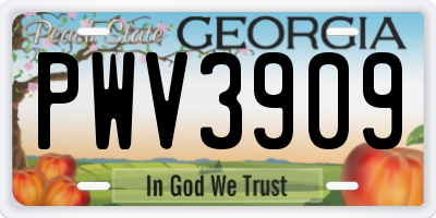 GA license plate PWV3909