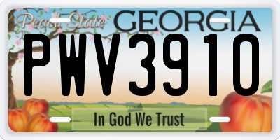 GA license plate PWV3910