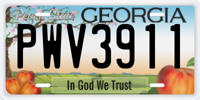 GA license plate PWV3911