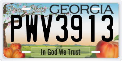 GA license plate PWV3913