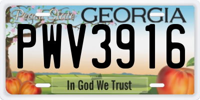 GA license plate PWV3916
