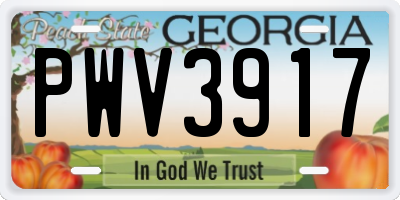 GA license plate PWV3917