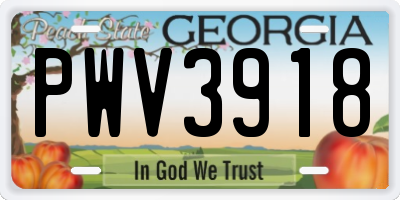 GA license plate PWV3918