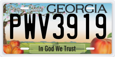 GA license plate PWV3919