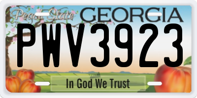GA license plate PWV3923
