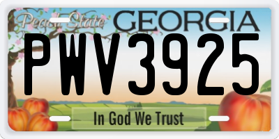 GA license plate PWV3925