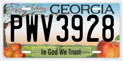 GA license plate PWV3928