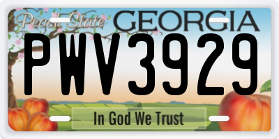 GA license plate PWV3929