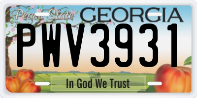 GA license plate PWV3931