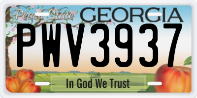 GA license plate PWV3937