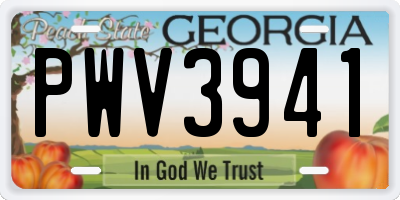 GA license plate PWV3941