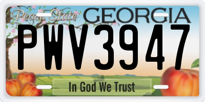 GA license plate PWV3947