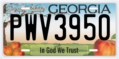 GA license plate PWV3950