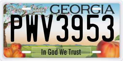 GA license plate PWV3953