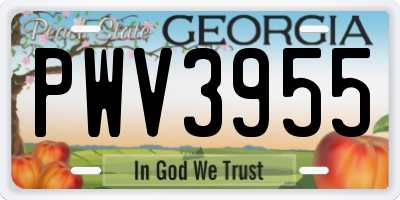 GA license plate PWV3955