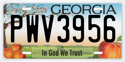 GA license plate PWV3956