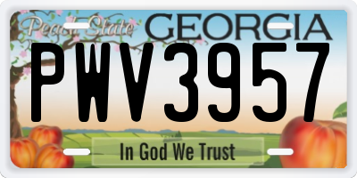 GA license plate PWV3957