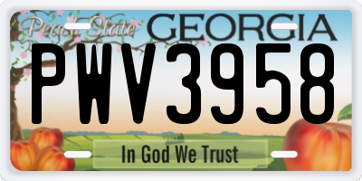 GA license plate PWV3958