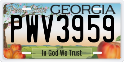 GA license plate PWV3959