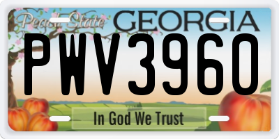 GA license plate PWV3960