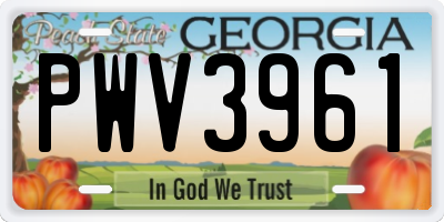 GA license plate PWV3961