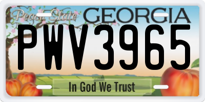 GA license plate PWV3965