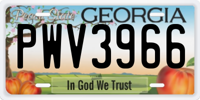 GA license plate PWV3966