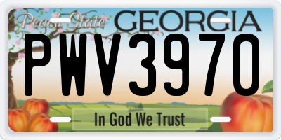 GA license plate PWV3970