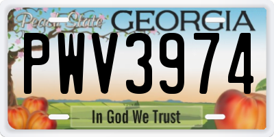 GA license plate PWV3974