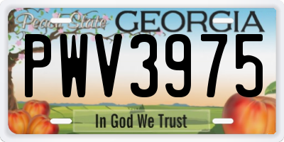 GA license plate PWV3975