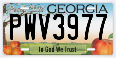 GA license plate PWV3977