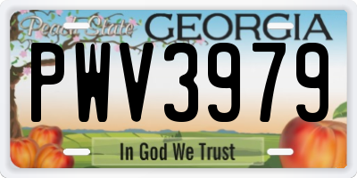 GA license plate PWV3979