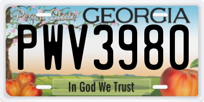 GA license plate PWV3980