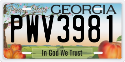 GA license plate PWV3981