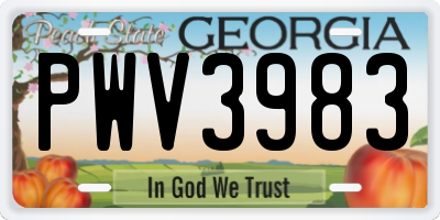 GA license plate PWV3983