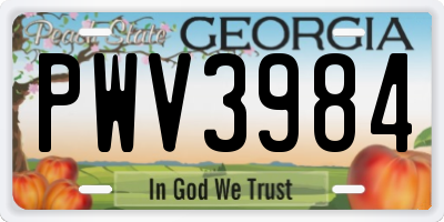 GA license plate PWV3984