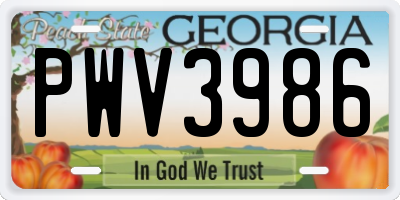 GA license plate PWV3986