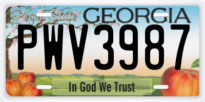 GA license plate PWV3987