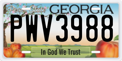 GA license plate PWV3988