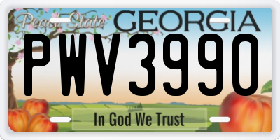GA license plate PWV3990