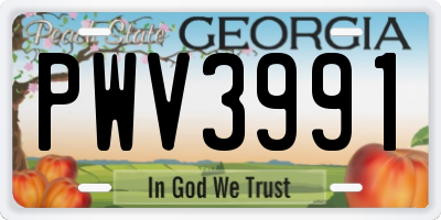 GA license plate PWV3991