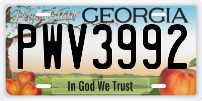 GA license plate PWV3992