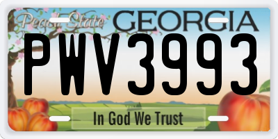 GA license plate PWV3993