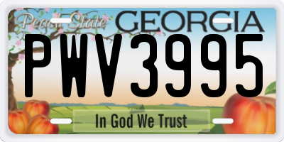 GA license plate PWV3995