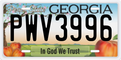 GA license plate PWV3996