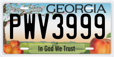 GA license plate PWV3999