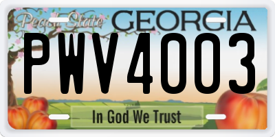 GA license plate PWV4003