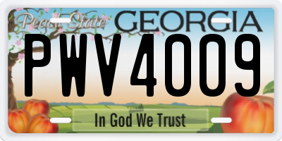 GA license plate PWV4009