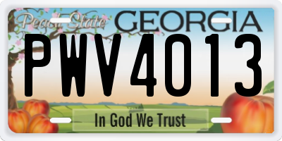 GA license plate PWV4013