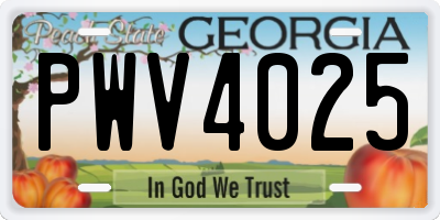GA license plate PWV4025